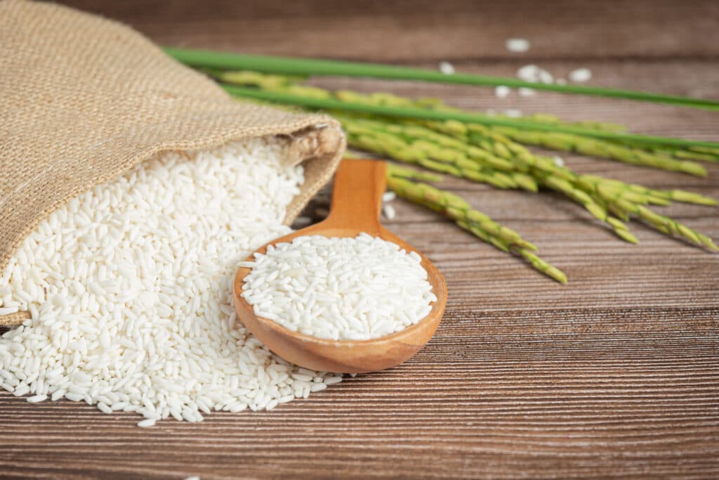 Rice